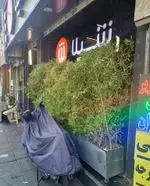 تصویر 4 - شیلا