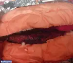 تصویر پروفایل فست فود نار 