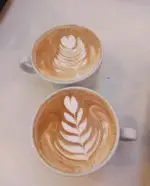 تصویر پروفایل کافه نیلو