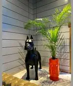 تصویر 5 - کافه رستوران پلاس شیم