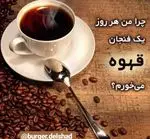 تصویر 3 - برگر دلشاد