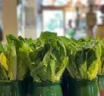 تصویر 4 - سفره خانه سنتی آذری