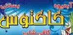 تصویر 1 - کاکتوس