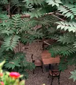 تصویر 2 - خانه هنر گویه