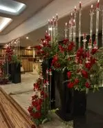 تصویر 2 - ظروف کرایه بلادی