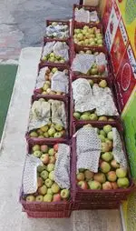 تصویر 5 - ننه آقا شهرری