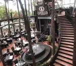 تصویر 1 - رستوران آسیایی الین سوشی 