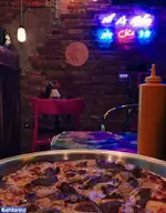 تصویر 4 - چارچیز