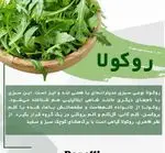تصویر 3 - بنلی لانژ