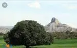 تصویر 5 - ابمیوه فردین
