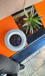 تصویر 5 - کاواک کافه . Cafe Kavak
