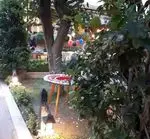 تصویر پروفایل کافه رستوران اطلس