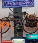 تصویر 1 - ساندویچی حلال