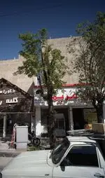 تصویر 4 - ویتامینه گل مریم