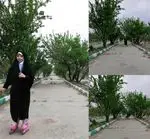 تصویر 1 - باغچه رستوران آسمونی ها