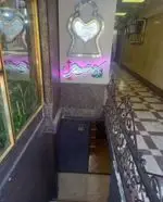 تصویر پروفایل کافه رستوران آمور