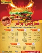تصویر 2 - شروین برگر