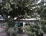 تصویر 2 - کافه قنادی سعید