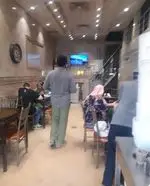 تصویر 2 - طباخی  قوچ,میشک