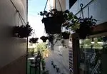 تصویر 4 - کافه روکو