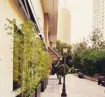 تصویر پروفایل کافه رستوران فابریکا