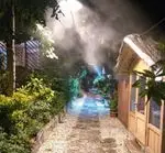 تصویر 3 - رستوران دیپلمات