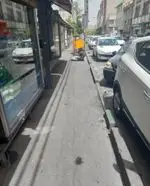 تصویر 5 - جگرکی بهار نارنج
