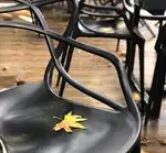 تصویر 1 - کافه رستوران داریما