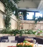 تصویر 5 - رستوران گریل گاردن