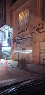 تصویر پروفایل کافه گپ
