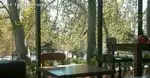 تصویر 2 - رستوران فرنگی سبوس 