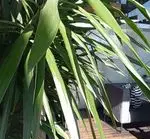 تصویر 4 - رستوران 10forever