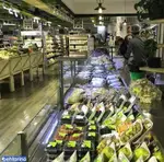 تصویر 4 - گورمه مارکت مزرعه ماهشام