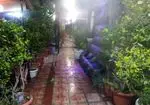 تصویر 4 - رستوران پالیز