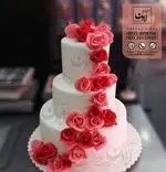 تصویر 5 - شیرینی لادن