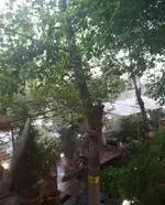 تصویر 5 - سفره خانه سنتی چهل ستون