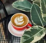 تصویر 5 - كافه رستوران پلاك ٥