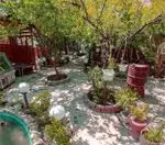 تصویر 5 - رستوران فرنگی سی من سی تو 