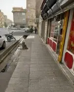 تصویر 5 - فلافل سید ۱۰۰۱