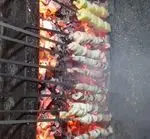 تصویر 2 - جگرسرای لیموترش