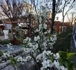 تصویر 4 - رستوران و کافی شاپ دورهمی