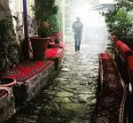 تصویر 3 - رستوران جویبار
