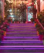 تصویر 5 - رستوران ایرانی باغ رستوران حجت 