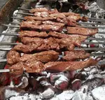 تصویر پروفایل جگر سرای بره ناقلا