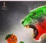 تصویر پروفایل کافه رستوران چکاوک
