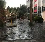 تصویر 2 - کافه رستوران نیک روز