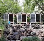 تصویر 1 - باغ رستوران برکه