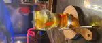 تصویر 5 - کافه شیرز-cafe shierez