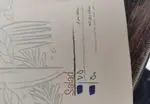 تصویر 5 - فست فود فنل