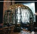 تصویر 2 - رستوران دالاترا